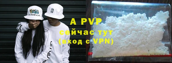 прущие грибы Белокуриха