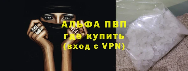 прущие грибы Белокуриха