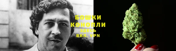 прущие грибы Белокуриха