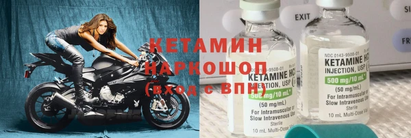 прущие грибы Белокуриха
