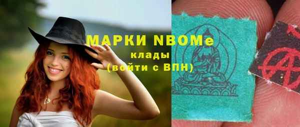 прущие грибы Белокуриха