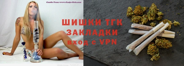 прущие грибы Белокуриха