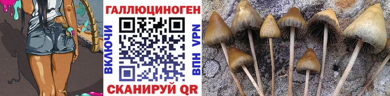 Купить  Обоянь  Галлюциногенные грибы Cubensis 